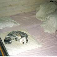 Blanding af racer Mis