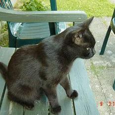 Blanding af racer loke