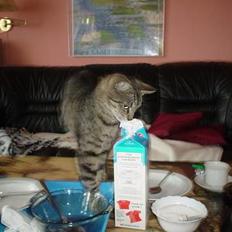 Blanding af racer Tony