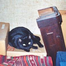 Blanding af racer Trille (død)