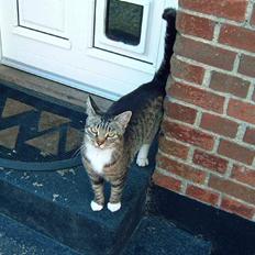 Blanding af racer Misha †