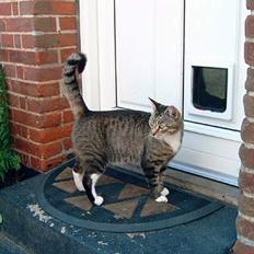 Blanding af racer Misha †