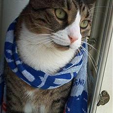 Blanding af racer Magnus