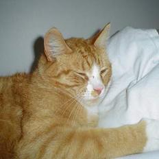 Blanding af racer Tarzan