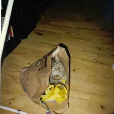 Blanding af racer Günther