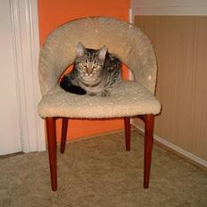 Blanding af racer Emir