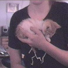 Huskat Tiger (på eng)(DØD!!)