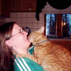 Blanding af racer Samir