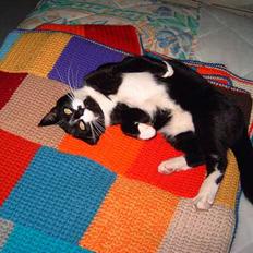 Blanding af racer Gerda *Død*