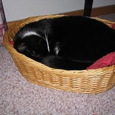 Blanding af racer Hermann