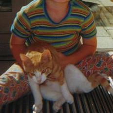 Blanding af racer Mikkel