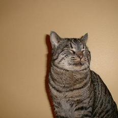 Blanding af racer Oliver