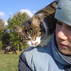 Blanding af racer Mimer