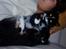 Blanding af racer Nala - mmmm..... putte.. lovely