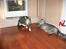 Maine Coon milles