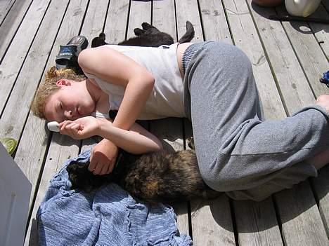 Blanding af racer Spot - Mig og min Skat ligger og sover på terrasen billede 2