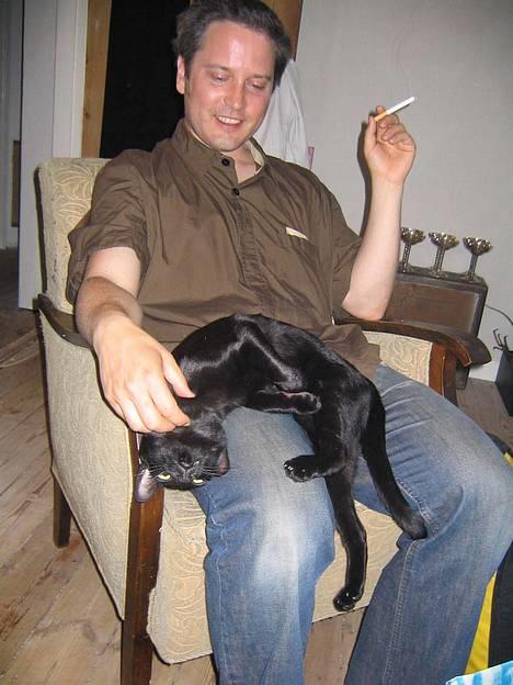 Orientaler Møgkat Nox billede 9