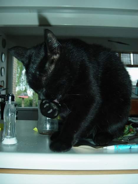 Blanding af racer loke billede 7