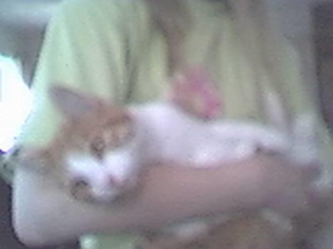 Blanding af racer Turbo billede 1