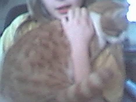 Blanding af racer Tornado - - så kommer maven! billede 3