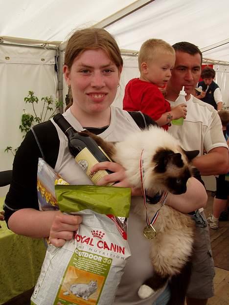 Hellig Birma Funny Miss Fransiska DØD - Roskilde Dyreskue 2003, vi blev Mis Dyreskue nummer 5. billede 6