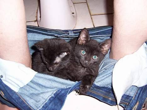 Blanding af racer Thorkild - Det er sjovt at være med på toilettet. billede 5