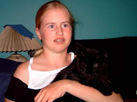 Huskat Mille mis  billede 4