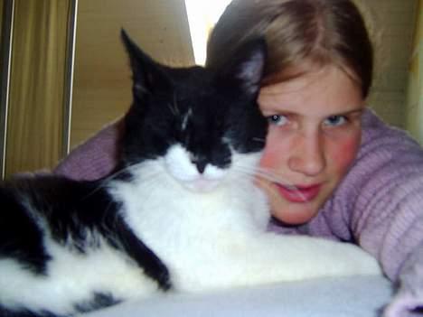 Blanding af racer Buller - hæ hæ... Mig og min grimme ejer... hi hi.. billede 8