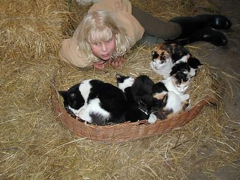 Blanding af racer Beauty - Og her sover hele familien.. billede 9