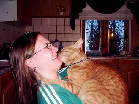 Blanding af racer Samir billede 1