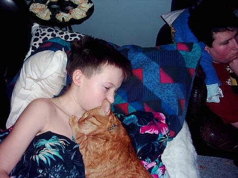 Blanding af racer Samir billede 8