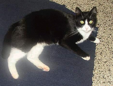 Blanding af racer thoulose - Hygger mig lige på badeværelset...Det skal piger jo.. billede 8