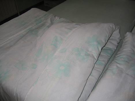 Blanding af racer Hermann - Hvad pokker er det for en bule ? billede 6