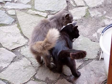 Blanding af racer Mads Mikkelsen (Død?) - Det er bare såå dejligt at nusse med halv-broderen jesus billede 6