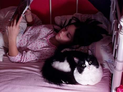 Blanding af racer Lemone's Pusling - Jeg og Pusling når vi skal legge oss... :) billede 9