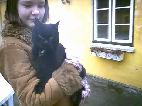 Blanding af racer Sofia (DØD) - Fandt lige et af min skønhed og min veninde .. Nyd de to SMUKKE billeder <33 billede 2