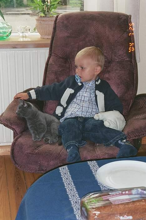 Blanding af racer Minni - R.I.P.  - Nøjj, det for børn! billede 6