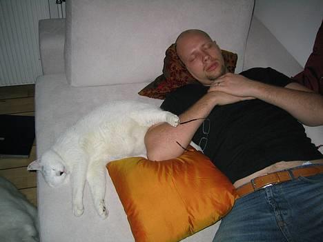 Blanding af racer Musse - Far og jeg tager os lige en lille lur, vi er MEGET trætte! billede 4