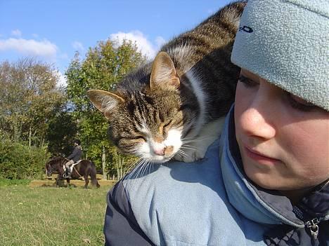 Blanding af racer Mimer - Mimer! Hehe billede 1