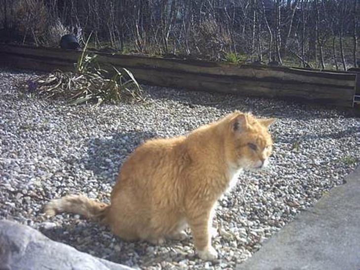 {{currentPhoto.altText}} billede {{currentPhoto.number}}