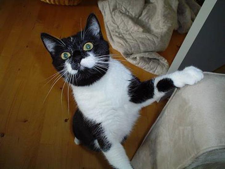 {{currentPhoto.altText}} billede {{currentPhoto.number}}