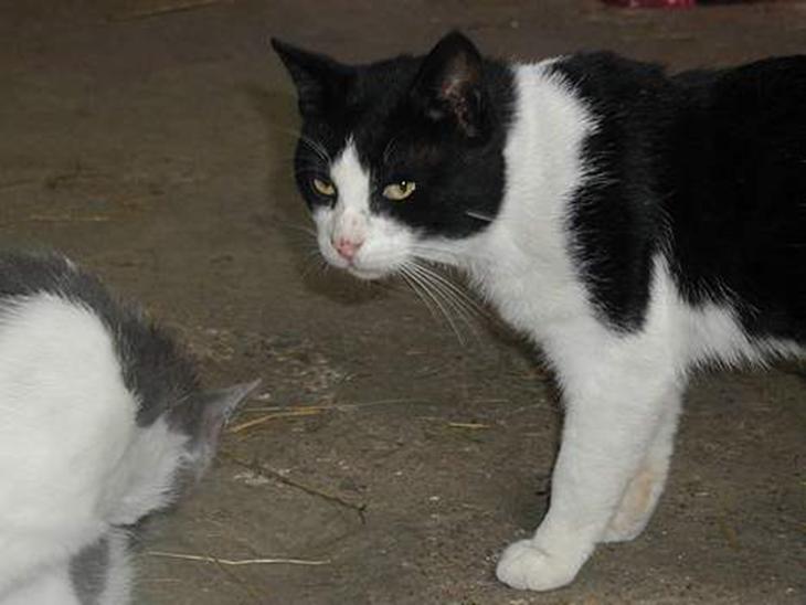 {{currentPhoto.altText}} billede {{currentPhoto.number}}