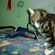 Blanding af racer Muller pigen<33