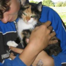 Blanding af racer Fighter *død*