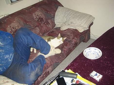 Blanding af racer vectra **DØD** billede 7