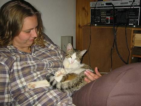 Blanding af racer vectra **DØD** billede 11