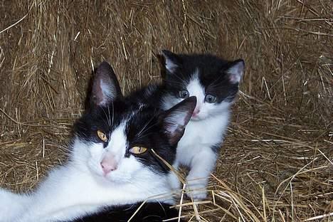 Huskat Oskar - Oskar og hans mor - de ligner hinanden! billede 18