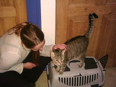 Huskat Freja - Freja med sin "mor" billede 6