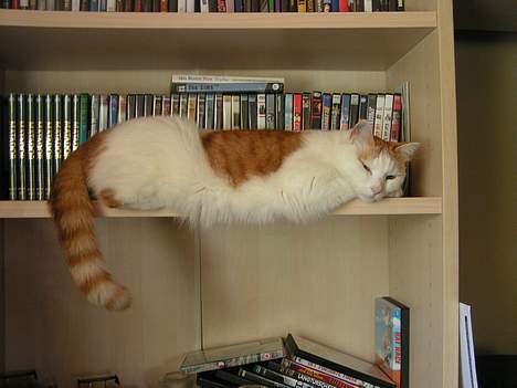 Huskat Tumle - Tumle tager en slapper på DVD hylden billede 1