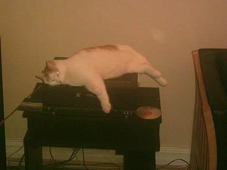 Huskat Tumle - VARME!!!!! billede 10